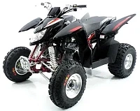 Квадроцикл ACCESS SP 300 SPORT Квадроцикл ACCESS SP 300 SPORT