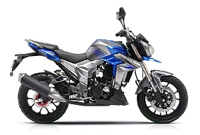 Мотоцикл Regulmoto T-Leopard 300 Мотоцикл Regulmoto T-Leopard 300