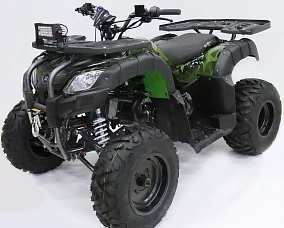 Квадроцикл MOTAX ATV GRIZLIK 200 LUX Квадроцикл MOTAX ATV GRIZLIK 200 LUX