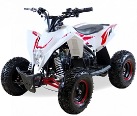 Детский квадроцикл бензиновый MOTAX GEKKON 90 cc 1+1 (Реверс) Детский квадроцикл бензиновый MOTAX GEKKON 90 cc 1+1 (Реверс)
