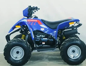 КВАДРОЦИКЛ LINHAI-YAMAHA Polar Fox